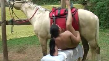 Plump dark-haired Hispanic woman blowing a horse's enormous dick