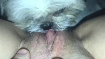 Intimate close-up of vagina tonguing with a filthy creature in point-of-view