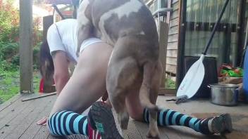 Amateur nude gay male dog fucked at home while on cam