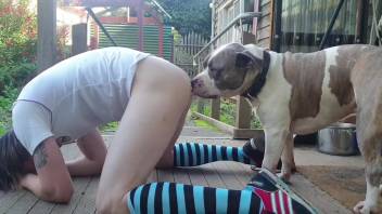 Homemade clip of naked amateur gay dude getting screwed by a dog on webcam