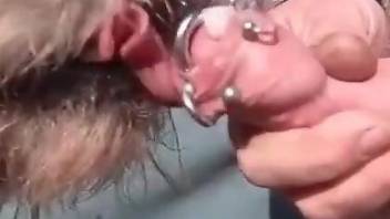 Sexy guy is using his pierced penis to pleasure a dog