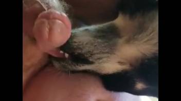 Canine causes guy to groan loudly begging for more during butt licking session
