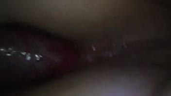 Gorgeous woman relishes huge canine penis in her vagina and anus