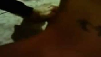 Classic adult video recording where a canine chooses to participate in the excitement