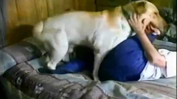 Canine mounts bare female in super promiscuous household deviances