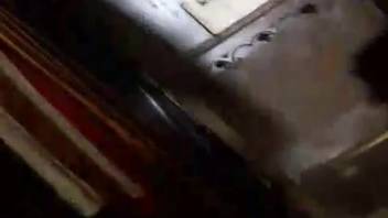 Sloppy animal sex clip with frantic activity and huge testicles