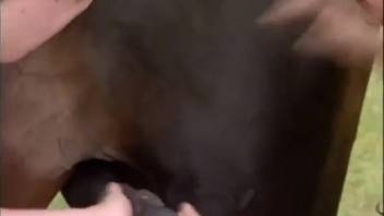 Older woman with massive boobs and thick butt in brutal horse porn