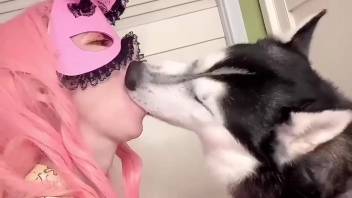 Siberian husky satisfies aroused webcam whore via bare bestiality