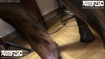 Disguised vixen in nylons banging her hung pooch live on webcam