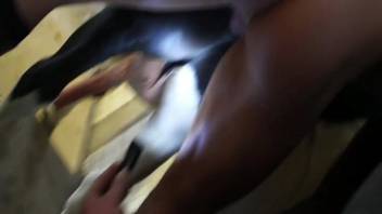Guy targets a tasty beast's burrow right here