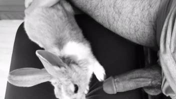 Alluring rabbit girl relishes steamy fun with his cock