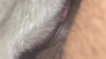 Stiff erection of an aroused man is about to slip inside smoothly