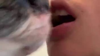 Sexy chick intensely kissing a canine