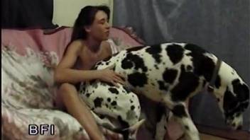 Sexy woman amazes with her dog fucking sexual qualities