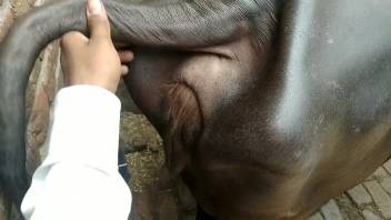 Guy desires to bang this heifer's vagina in an extremely rough way