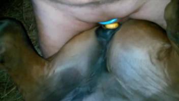 Man deep fucks animal in the ass and pussy for dirty cam perversions