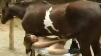 Brunette gets banged by a thick horse cock outdoors