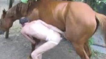 Aging zoophile dude gets ass-blasted by a stallion