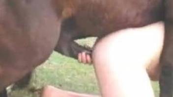 Horny zoophile enjoys brutal anal with a stallion