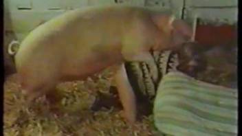 Pale stallion receives oral pleasure from a curvaceous dark-haired vixen