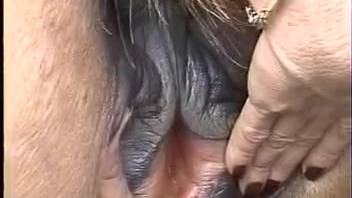 Real Zoo Videos - Extreme animal porn videos