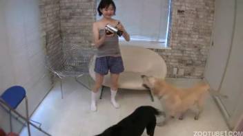 Japanese hottie is blowing two canines at the same time